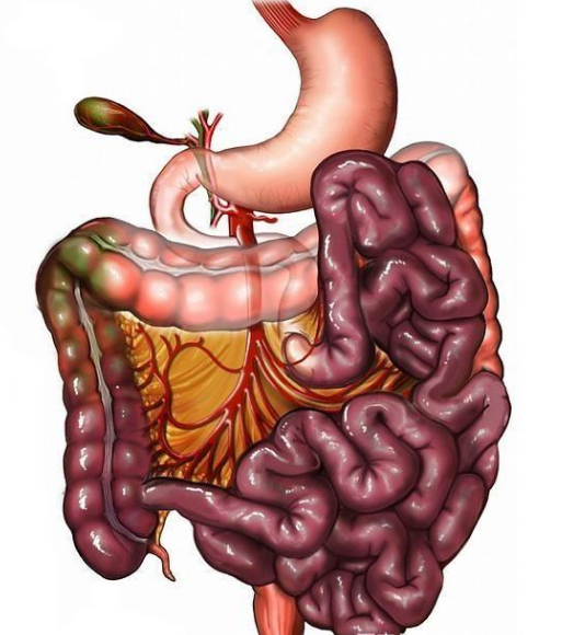 腸息肉者，排便出現(xiàn)3個(gè)異常，十有八九息肉已變成“癌”